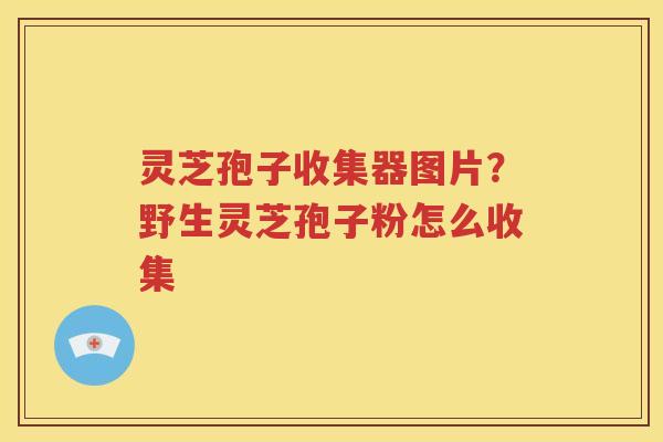 灵芝孢子收集器图片？野生灵芝孢子粉怎么收集