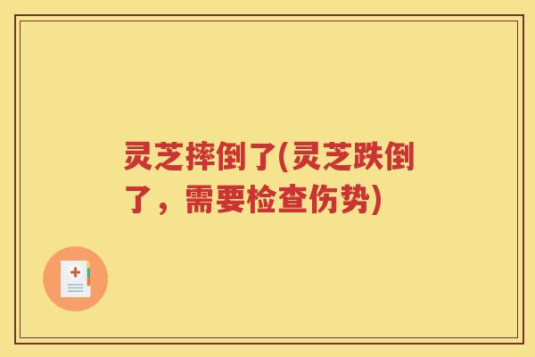 灵芝摔倒了(灵芝跌倒了,需要检查伤势) 灵芝摔倒了(灵芝跌倒了,需要检查伤势)