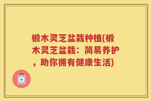 椴木灵芝盆栽种植(椴木灵芝盆栽:简易养护,助你拥有健康生活) 椴木灵芝盆栽种植(椴木灵芝盆栽:简易养护,助你拥有健康生活)