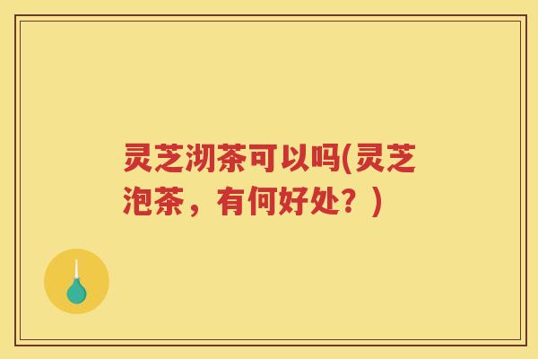 灵芝沏茶可以吗(灵芝泡茶，有何好处？)