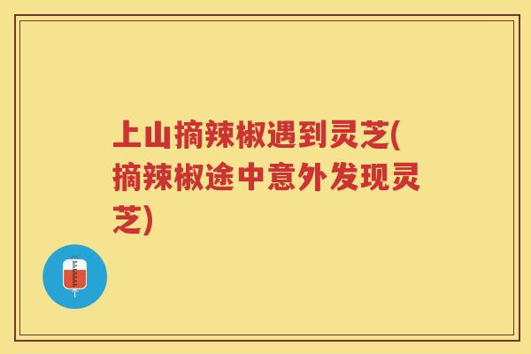 上山摘辣椒遇到灵芝(摘辣椒途中意外发现灵芝)