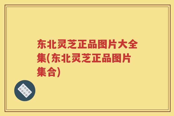 东北灵芝正品图片大全集(东北灵芝正品图片集合)