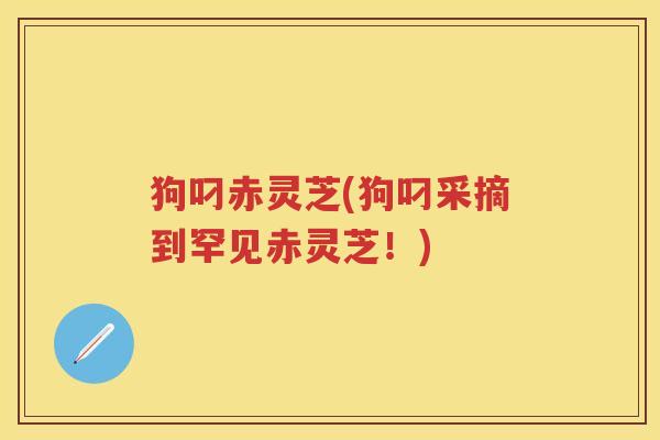 狗叼赤灵芝(狗叼采摘到罕见赤灵芝！)