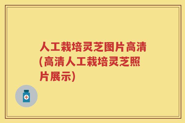 人工栽培灵芝图片高清(高清人工栽培灵芝照片展示)