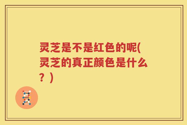 灵芝是不是红色的呢(灵芝的真正颜色是什么？)