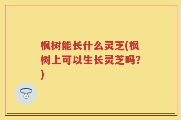 枫树能长什么灵芝(枫树上可以生长灵芝吗？)