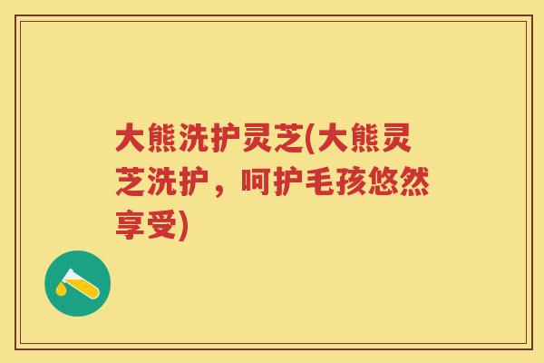 大熊洗护灵芝(大熊灵芝洗护，呵护毛孩悠然享受)
