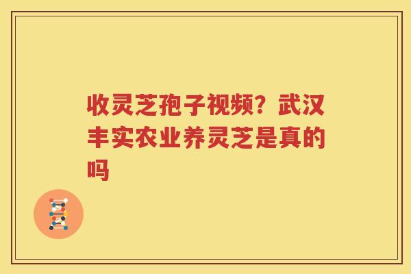 收灵芝孢子视频？武汉丰实农业养灵芝是真的吗