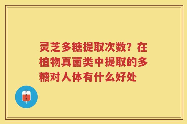 灵芝多糖提取次数?在植物真菌类中提取的多糖对人体有什么好处 灵芝多糖提取次数?在植物真菌类中提取的多糖对人体有什么好处
