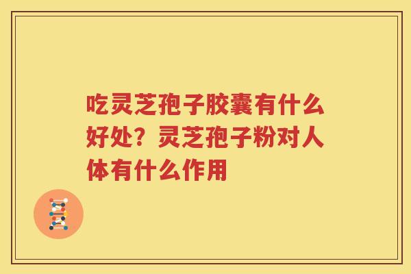 吃灵芝孢子胶囊有什么好处?灵芝孢子粉对人体有什么作用 吃灵芝孢子胶囊有什么好处?灵芝孢子粉对人体有什么作用