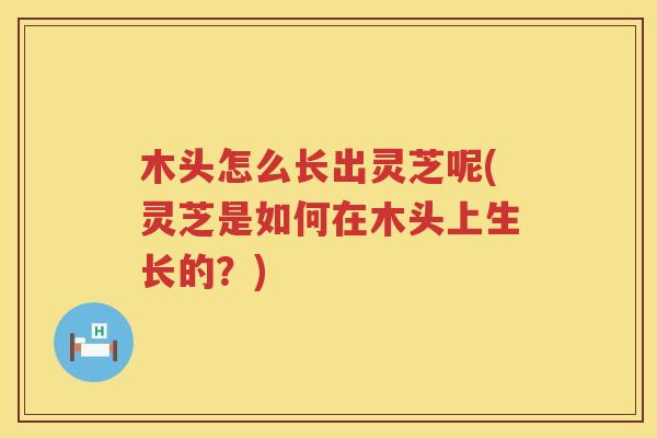 木头怎么长出灵芝呢(灵芝是如何在木头上生长的？)