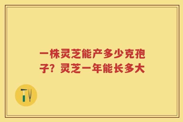 一株灵芝能产多少克孢子？灵芝一年能长多大