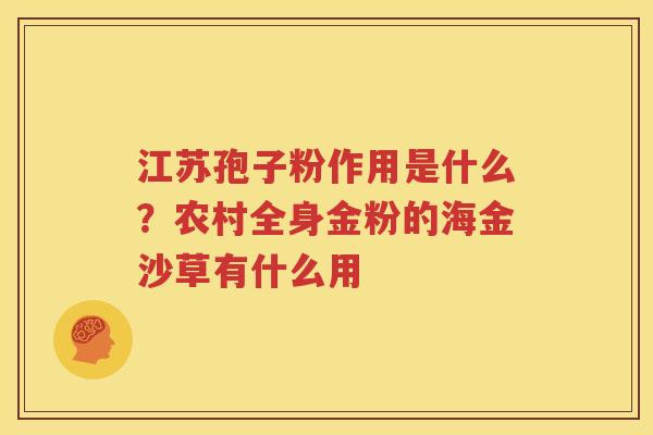 江苏孢子粉作用是什么?农村全身金粉的海金沙草有什么用 江苏孢子粉作用是什么?农村全身金粉的海金沙草有什么用
