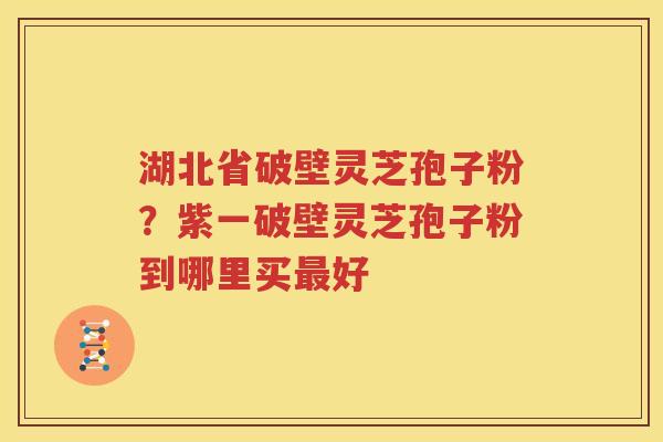 湖北省破壁灵芝孢子粉？紫一破壁灵芝孢子粉到哪里买好