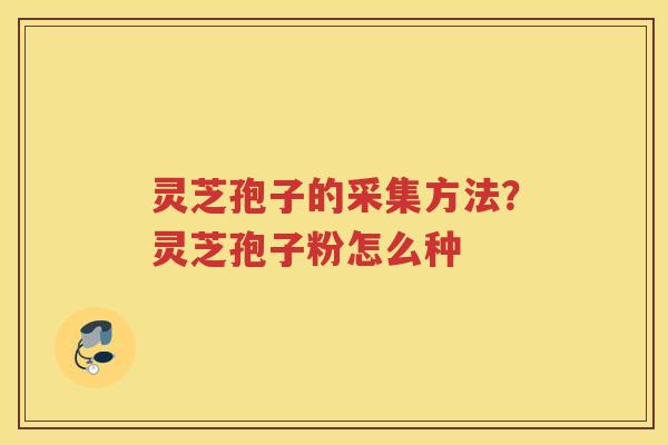 灵芝孢子的采集方法？灵芝孢子粉怎么种