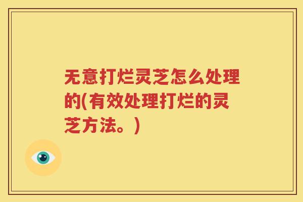 无意打烂灵芝怎么处理的(有效处理打烂的灵芝方法。)