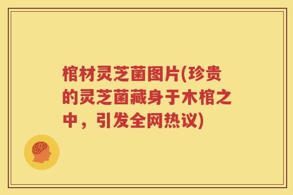棺材灵芝菌图片(珍贵的灵芝菌藏身于木棺之中，引发全网热议)