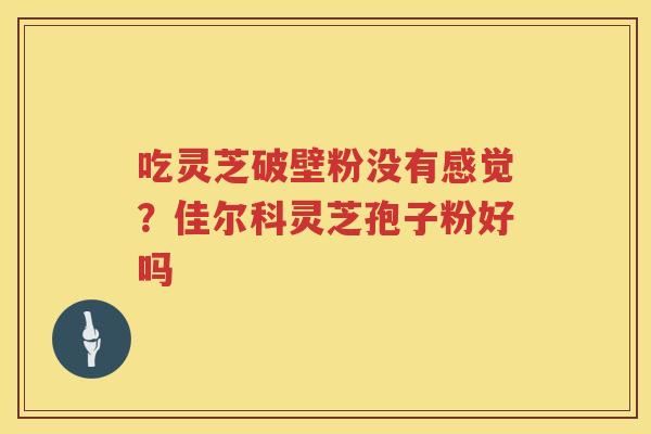 吃灵芝破壁粉没有感觉？佳尔科灵芝孢子粉好吗