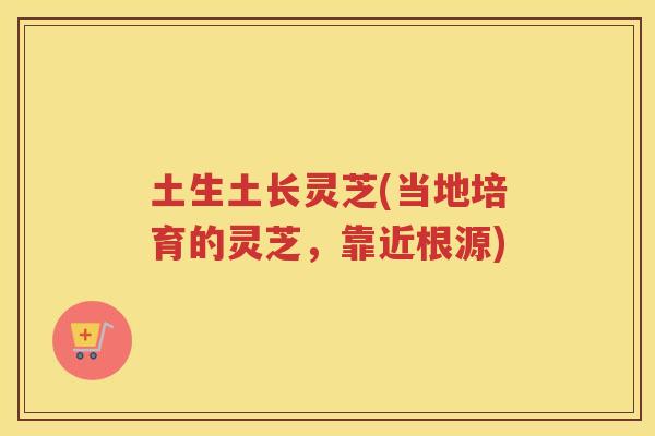 土生土长灵芝(当地培育的灵芝，靠近根源)