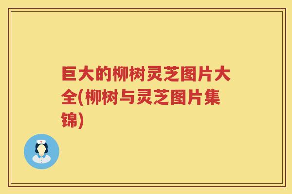 巨大的柳树灵芝图片大全(柳树与灵芝图片集锦)
