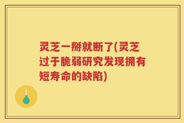 灵芝一掰就断了(灵芝过于脆弱研究发现拥有短寿命的缺陷) 灵芝一掰就断了(灵芝过于脆弱研究发现拥有短寿命的缺陷)