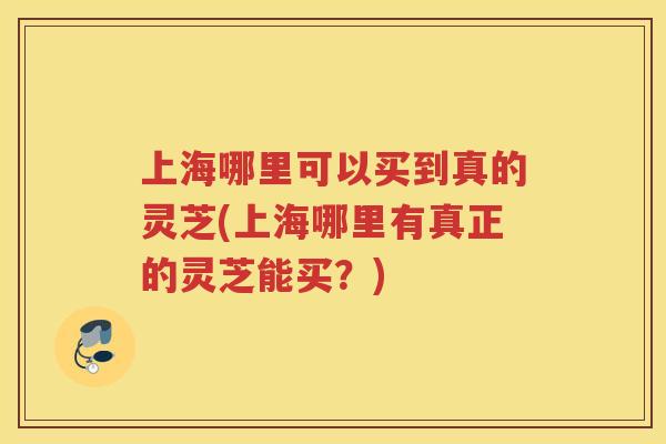 上海哪里可以买到真的灵芝(上海哪里有真正的灵芝能买？)