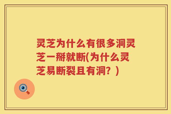 灵芝为什么有很多洞灵芝一掰就断(为什么灵芝易断裂且有洞?) 灵芝为什么有很多洞灵芝一掰就断(为什么灵芝易断裂且有洞?)