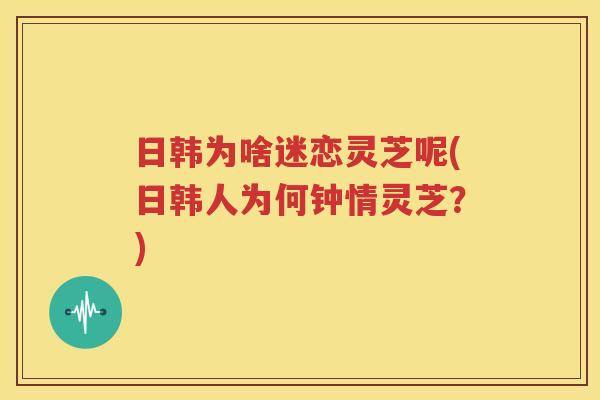 日韩为啥迷恋灵芝呢(日韩人为何钟情灵芝？)
