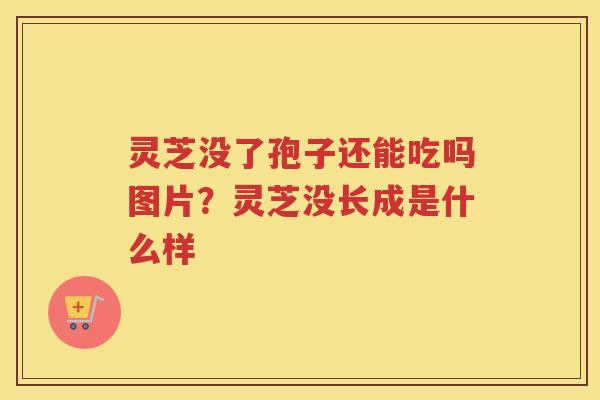 灵芝没了孢子还能吃吗图片?灵芝没长成是什么样 灵芝没了孢子还能吃吗图片?灵芝没长成是什么样