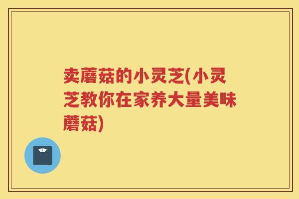 卖蘑菇的小灵芝(小灵芝教你在家养大量美味蘑菇)
