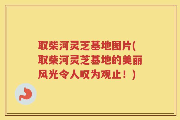 取柴河灵芝基地图片(取柴河灵芝基地的美丽风光令人叹为观止！)