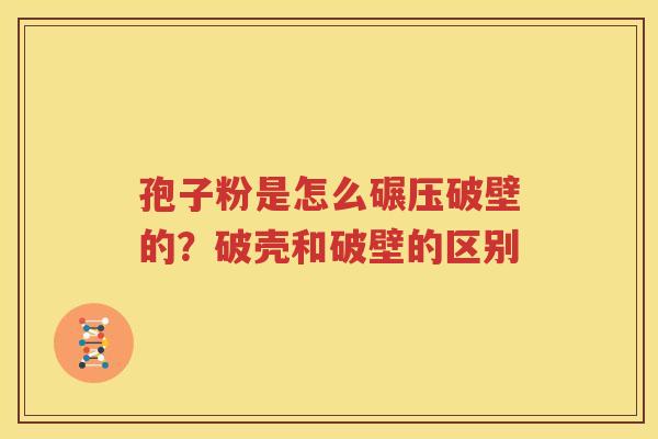 孢子粉是怎么碾压破壁的？破壳和破壁的区别