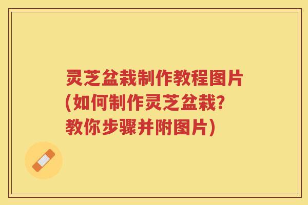 灵芝盆栽制作教程图片(如何制作灵芝盆栽？教你步骤并附图片)