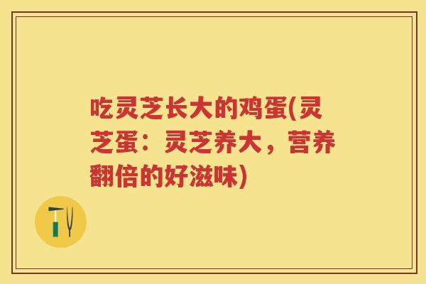 吃灵芝长大的鸡蛋(灵芝蛋:灵芝养大,营养翻倍的好滋味) 吃灵芝长大的鸡蛋(灵芝蛋:灵芝养大,营养翻倍的好滋味)