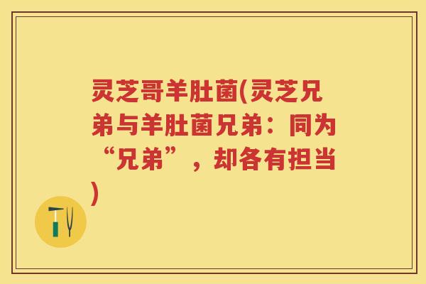 灵芝哥羊肚菌(灵芝兄弟与羊肚菌兄弟:同为“兄弟”,却各有担当) 灵芝哥羊肚菌(灵芝兄弟与羊肚菌兄弟:同为“兄弟”,却各有担当)