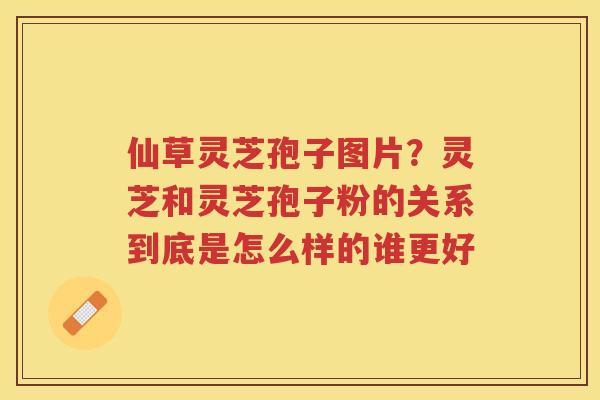仙草灵芝孢子图片？灵芝和灵芝孢子粉的关系到底是怎么样的谁更好