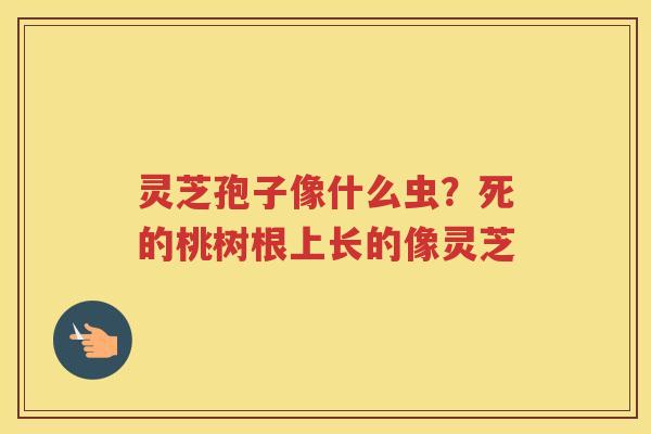 灵芝孢子像什么虫？死的桃树根上长的像灵芝