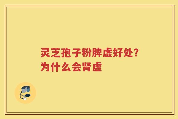 灵芝孢子粉脾虚好处？为什么会虚