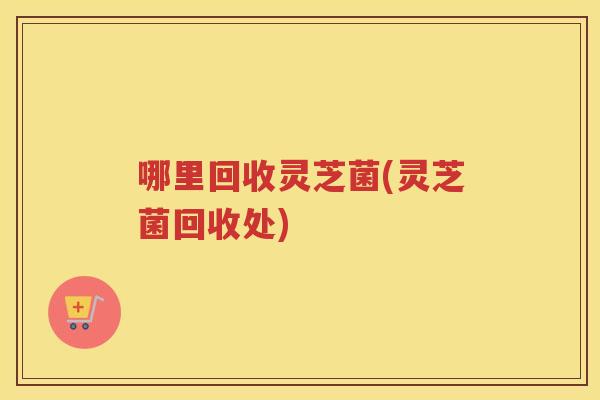 哪里回收灵芝菌(灵芝菌回收处)