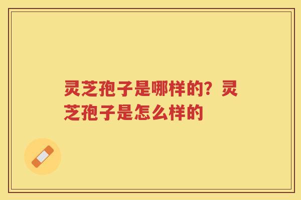 灵芝孢子是哪样的？灵芝孢子是怎么样的