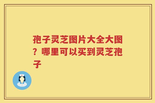 孢子灵芝图片大全大图？哪里可以买到灵芝孢子