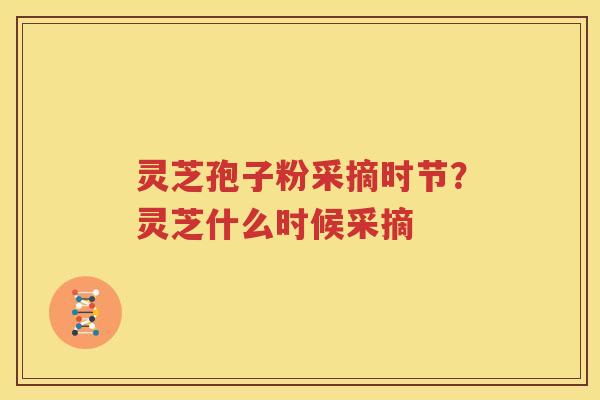 灵芝孢子粉采摘时节？灵芝什么时候采摘