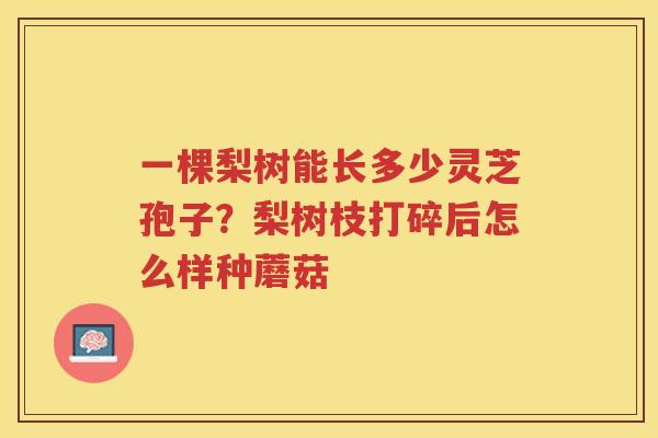 一棵梨树能长多少灵芝孢子?梨树枝打碎后怎么样种蘑菇 一棵梨树能长多少灵芝孢子?梨树枝打碎后怎么样种蘑菇