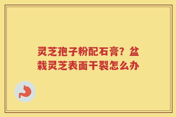 灵芝孢子粉配石膏?盆栽灵芝表面干裂怎么办 灵芝孢子粉配石膏?盆栽灵芝表面干裂怎么办