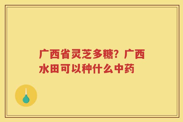 广西省灵芝多糖？广西水田可以种什么