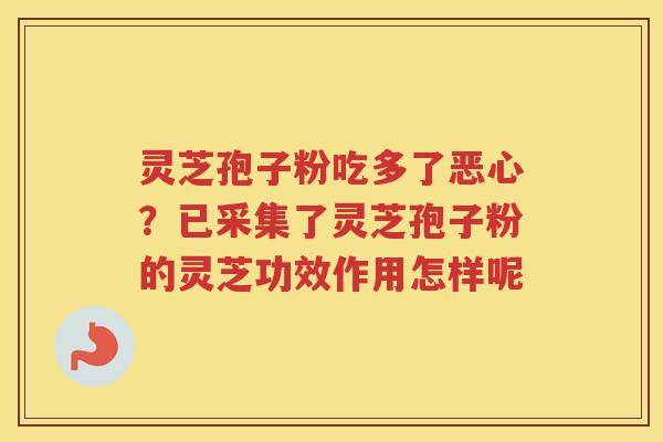 灵芝孢子粉吃多了恶心？已采集了灵芝孢子粉的灵芝功效作用怎样呢