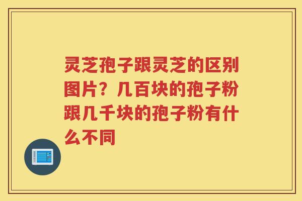 灵芝孢子跟灵芝的区别图片？几百块的孢子粉跟几千块的孢子粉有什么不同