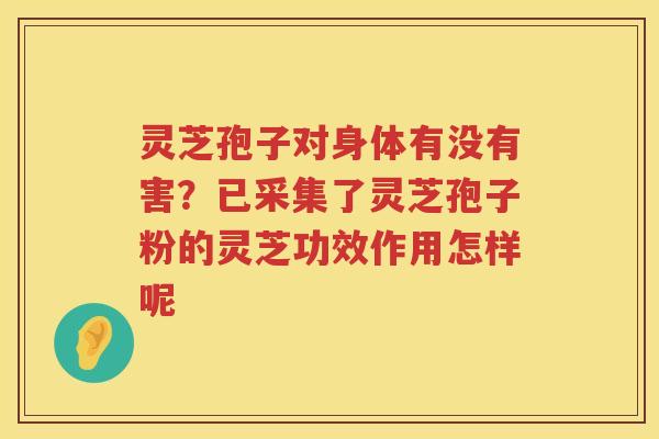 灵芝孢子对身体有没有害？已采集了灵芝孢子粉的灵芝功效作用怎样呢