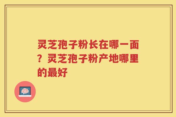灵芝孢子粉长在哪一面?灵芝孢子粉产地哪里的好 灵芝孢子粉长在哪一面?灵芝孢子粉产地哪里的好
