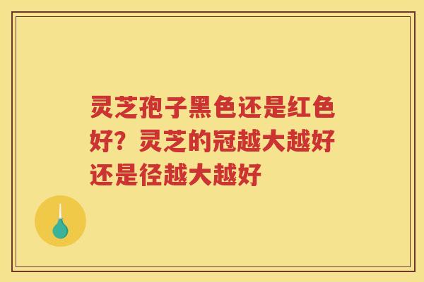 灵芝孢子黑色还是红色好？灵芝的冠越大越好还是径越大越好